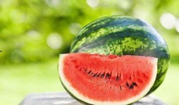 热门吃瓜网红排行榜最新,揭秘网络红人的瓜田传奇